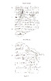 Cuneiform tablet: account of dates as imittu-rent, Ebabbar archive, Clay, Babylonian