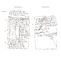 Cuneiform tablet: account of delivery of animals for offering, Ebabbar archive, Clay, Babylonian