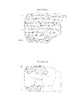 Cuneiform tablet: account of barley and date disbursements, Ebabbar archive, Clay, Babylonian