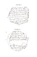 Cuneiform tablet: account of flour, Ebabbar archive, Clay, Babylonian