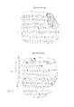 Cuneiform tablet: letter, Clay, Babylonian or Achaemenid