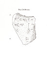 Cuneiform tablet: fragment, Ebabbar archive, Clay, Babylonian or Achaemenid