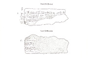 Cuneiform tablet: fragment, Ebabbar archive, Clay, Babylonian or Achaemenid