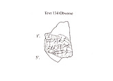 Cuneiform tablet: fragment, Ebabbar archive, Clay, Babylonian or Achaemenid