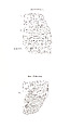 Cuneiform tablet: temple account of bread, Clay, Babylonian or Achaemenid