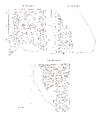Cuneiform prism: inscription of Esarhaddon, Clay, Assyrian