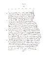 Cuneiform cylinder: inscription of Nebuchadnezzar II describing restorations at Babylon, Clay, Babylonian