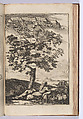 Turris Babel, Lievin Cruyl (Ghent 1634–Ghent 1720 (?)), Paper, board, leather, German