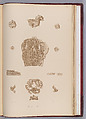 The Monuments of Nineveh, Paper, board, cloth, British