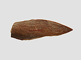 Tool, Bone, Iran