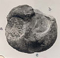Sealing, Un-baked clay, Sasanian