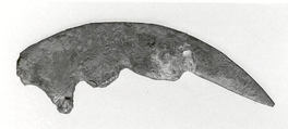 Tool, Copper, Iran