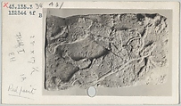 Catalogue cards of orthostat relief: lion attacking a deer, Card with ink, pencil and photograph