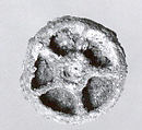 Stamp seal, Copper alloy, Bactria-Margiana Archaeological Complex