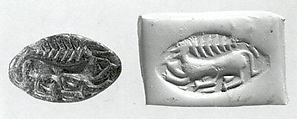 Carinated half-almond seal, Chlorite, black