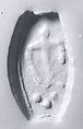 Drilled half almond seal, Marble