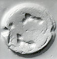 Drilled hemispheroid seal, Stone, pale green