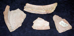 Pan fragments, Ceramic, Sasanian or Islamic