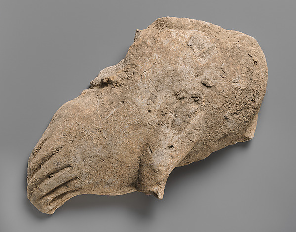 Fragment of a wall decoration with part of a bird by an unrecorded maker, The Metropolitan Museum of Art