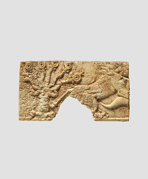 Panel fragment