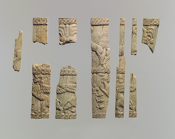 Pyxis fragments 1.46 x 0.63 in. (3.71 x 1.6 cm)