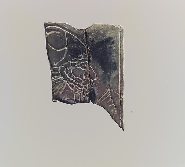 Plaque fragment 0.71 x 0.08 in. (1.8 x 0.2 cm)
