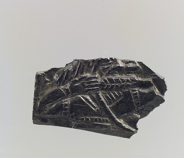Plaque fragment 0.55 x 1.06 x 0.2 in. (1.4 x 2.69 x 0.51 cm)