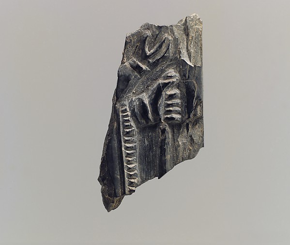 Plaque fragment 1.26 x 0.63 x 0.2 in. (3.2 x 1.6 x 0.51 cm)