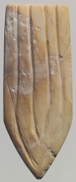 Shell fragment 1.61 in. (4.09 cm)