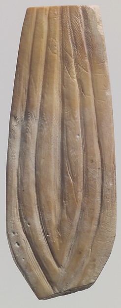Shell fragment 1.42 in. (3.61 cm)