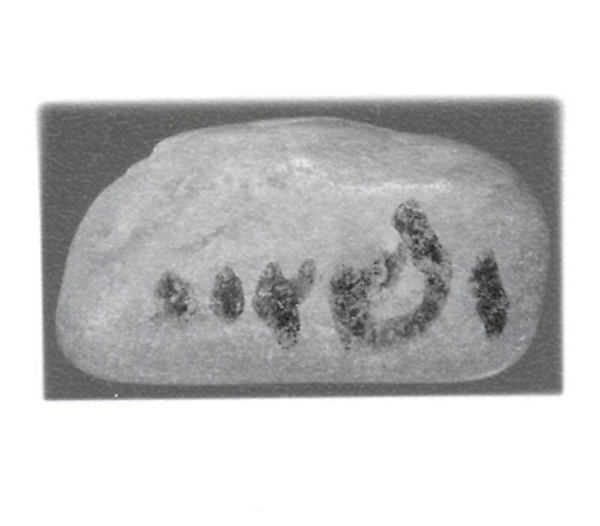 Inscribed pebble 0.77 x 1.55 in. (1.96 x 3.94 cm)