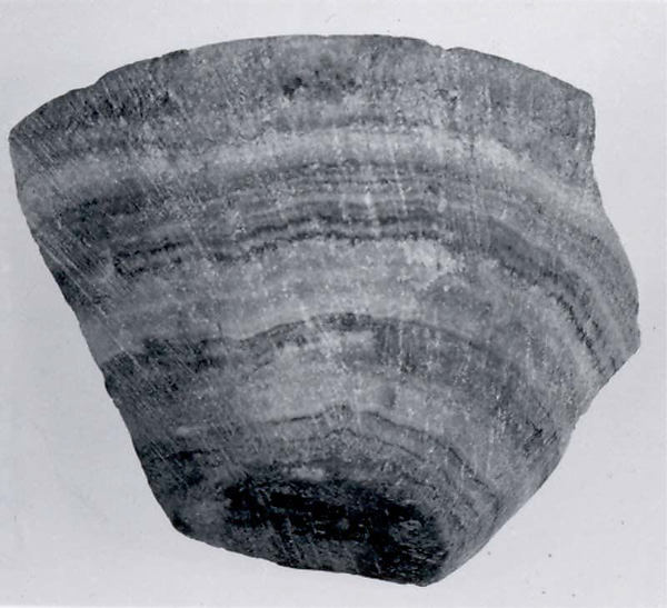 Cup fragment 2.52 x 2.13 in. (6.4 x 5.41 cm)