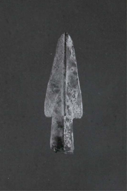 Arrowhead 0.47 x 1.38 in. (1.19 x 3.51 cm)