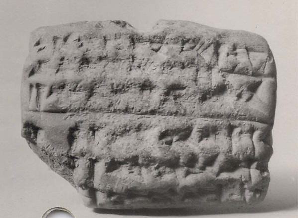 Cuneiform tablet: account of oxen given to ploughmen, Ebabbar archive 1.5 x 2 x .93 in. (3.81 x 5.08 x 2.35 cm)