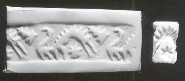 Cylinder seal 0.63 in. (1.6 cm)