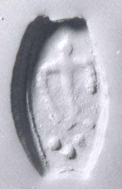 Drilled half almond seal H. 2.5 cm x W. 1.3 cm x D. 1 cm