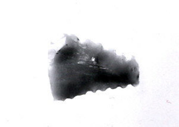 Arrowhead 0.62 x 0.87 in. (1.57 x 2.21 cm)