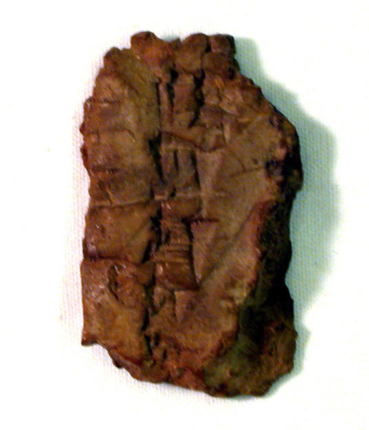 Cuneiform tablet: fragment of Syllabary B 1 1/4 x 3/4 x 1/4 in. (3.3 x 2 x 0.6 cm)