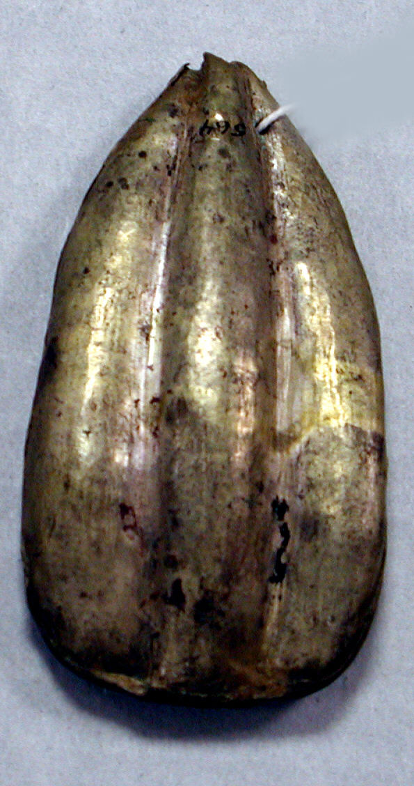 Hammered Silver Petal Ornament Peru North Coast The 