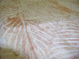 Printed Tapa Cloth, Barkcloth, Tonga or Samoa