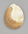 Engraved pearl shell, Carved Australian Gold-Lipped Pearl Shell, Pinctada Maxima [not endangered], natural earth pigments, Western Australia