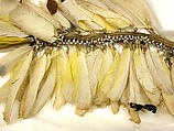 Ornament, Feathers, fiber, seeds, Asmat people