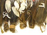 Ornament, Feathers, fiber, Asmat people