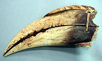 Ornament, Hornbill beak, fiber, Asmat people