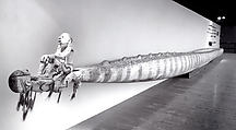 Canoe, Chief Chinasapitch, Wood, paint, sago palm leaves, Asmat
