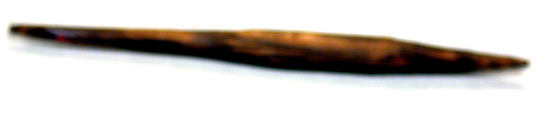 Nose Ornament, Wood, Asmat people