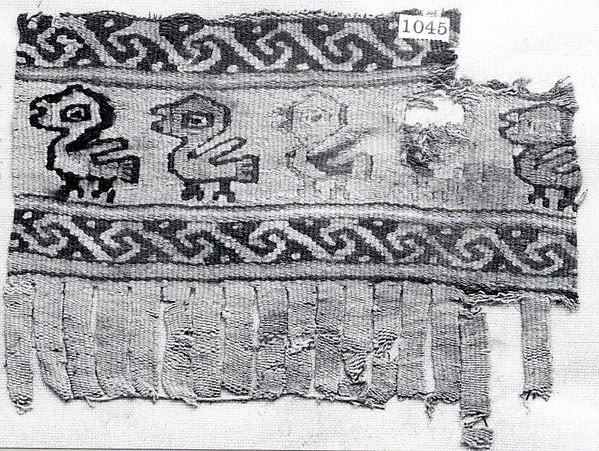 Border Fragment