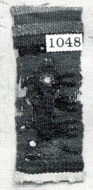 Tapestry Band Fragment
