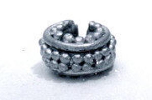 Nose Ornament