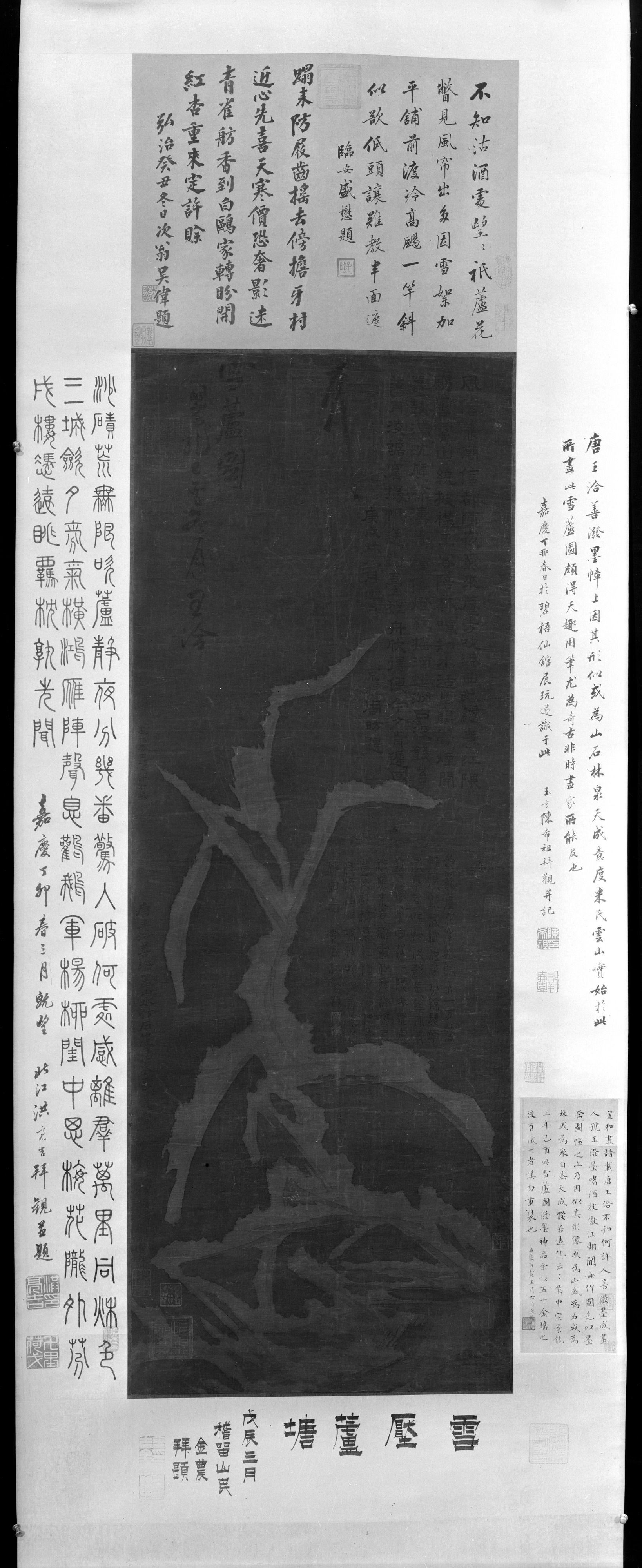 Winter Nocturne Study of Rushes